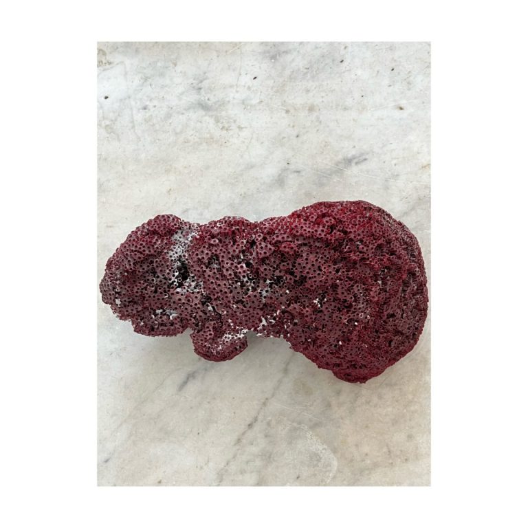 Vintage piece of dyed red coral