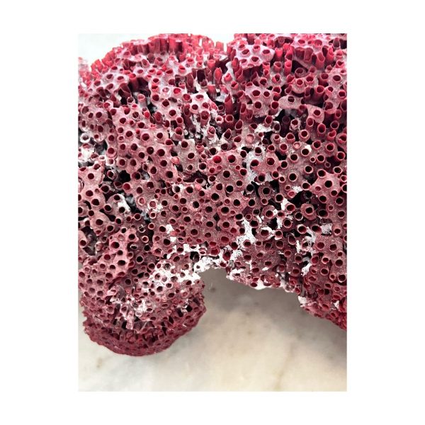 Vintage piece of dyed red coral - Image 2