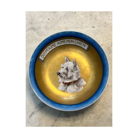Vintage French chien plate (collectable)